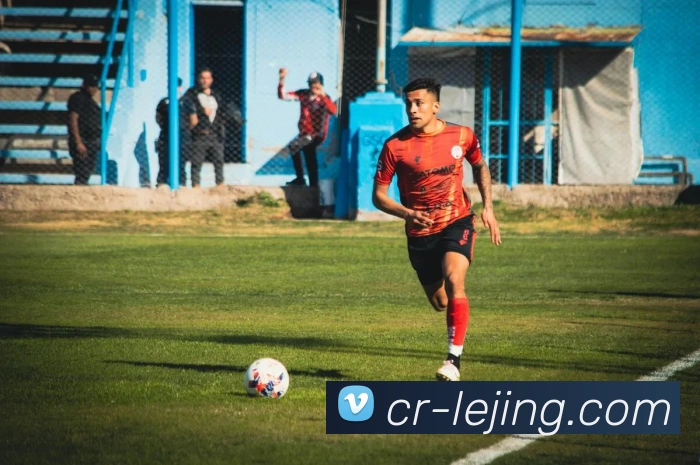 乐竞体育平台生态图